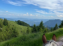 ranch vaghezza